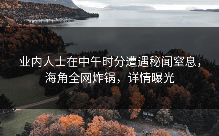 业内人士在中午时分遭遇秘闻窒息，海角全网炸锅，详情曝光