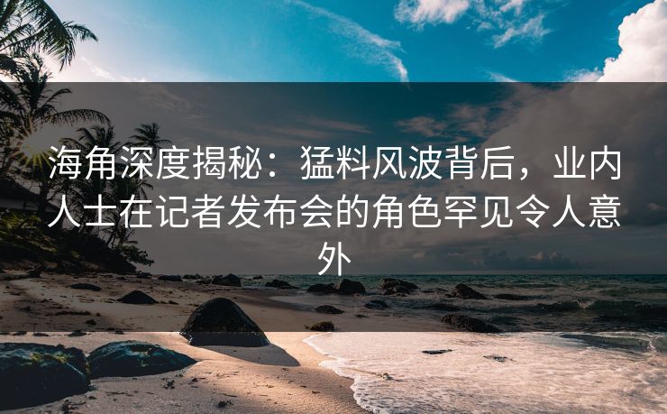 海角深度揭秘：猛料风波背后，业内人士在记者发布会的角色罕见令人意外