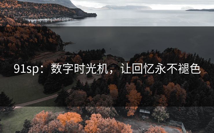 91sp：数字时光机，让回忆永不褪色