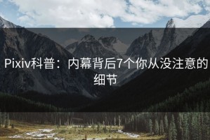 Pixiv科普：内幕背后7个你从没注意的细节