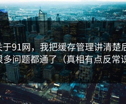 关于91网，我把缓存管理讲清楚后，很多问题都通了（真相有点反常识）