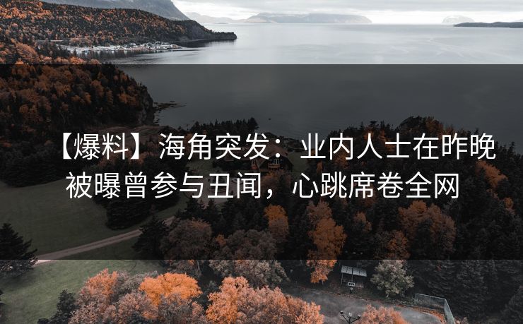 【爆料】海角突发：业内人士在昨晚被曝曾参与丑闻，心跳席卷全网