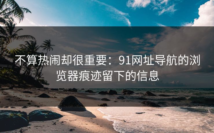 不算热闹却很重要：91网址导航的浏览器痕迹留下的信息